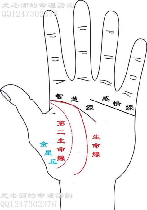 生命線分兩條|生命線分叉代表什麼 最完整版生命線分叉圖解大全